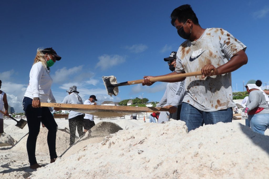 M S De Mil Metros C Bicos De Sargazo Fueron Retirados De Playas En